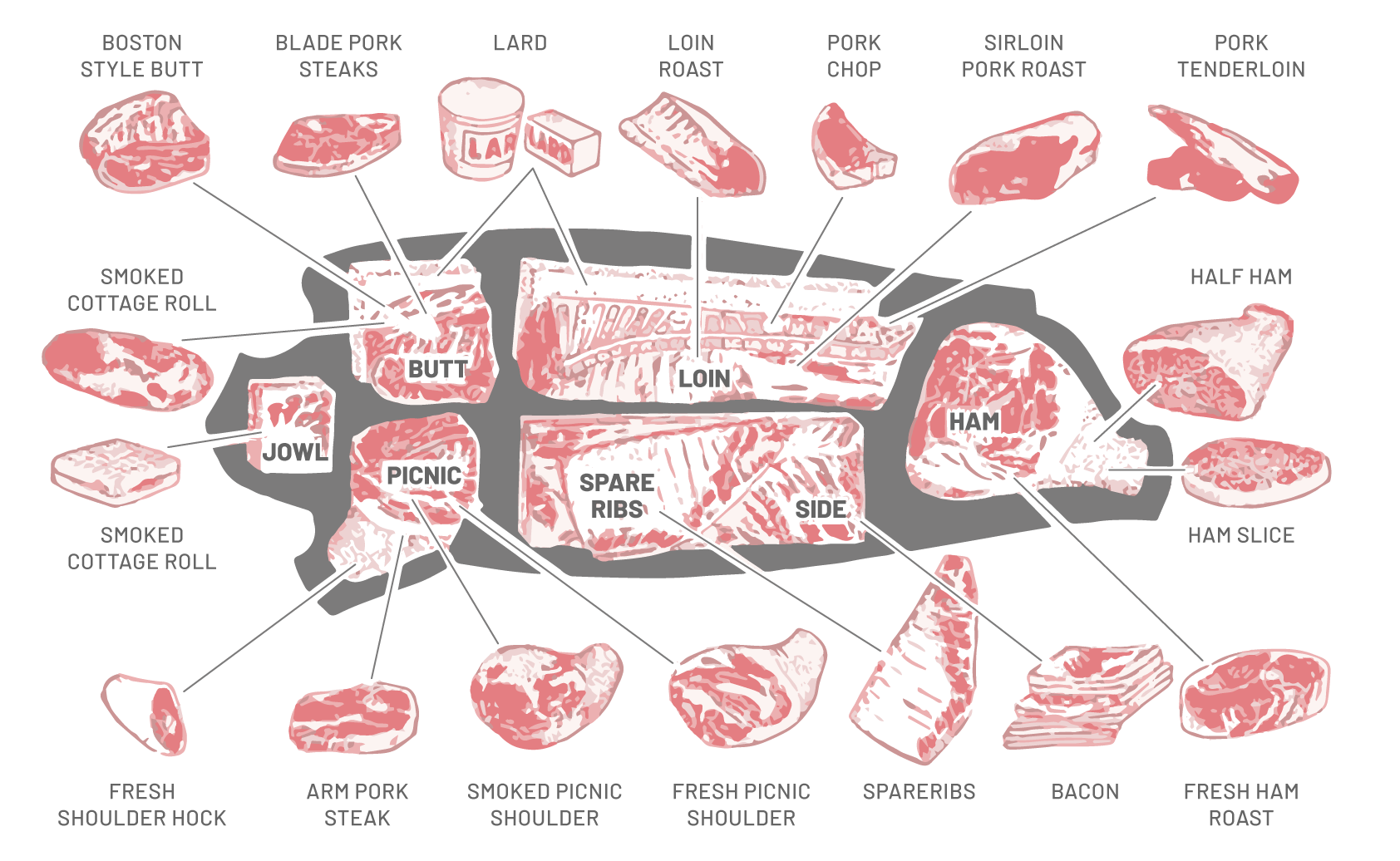 Otway Pork Cuts Diagram